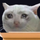 fluffysnowman's avatar